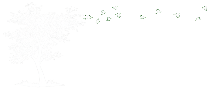 Tree silhouette